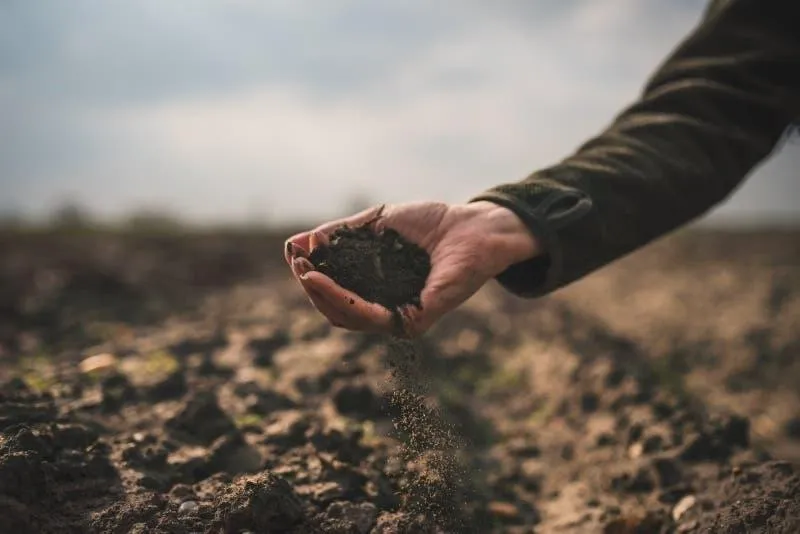 Soil Testing Image